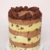 Brownie Chocochip Cake